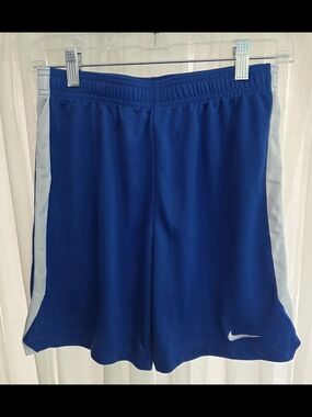 Nike Blue Athletic Shorts with White Side Panels